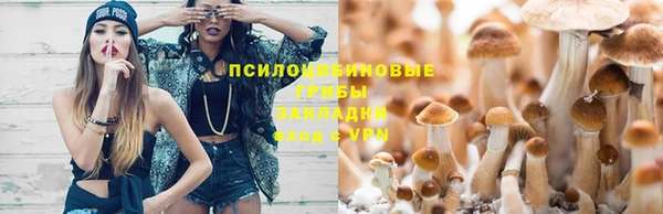 шишки Баксан