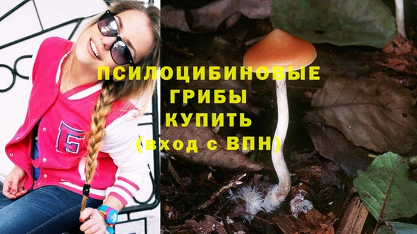 МДПВ Осташков
